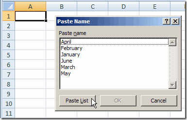 Excel Name Paste Name