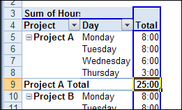 Show Total Hours in a Pivot Table