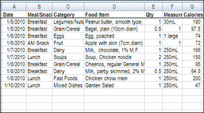 Calorie Counter Excel Template from contexturesblog.com