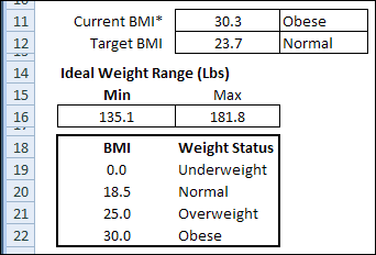 excel weight body fat muscle tracker