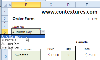 Excel worksheet with order form