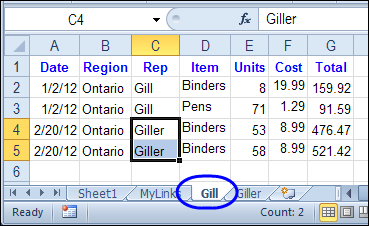 Filter Excel Data Onto Multiple Sheets