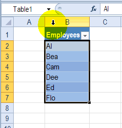 Allow Other Entries With Excel Drop Down List
