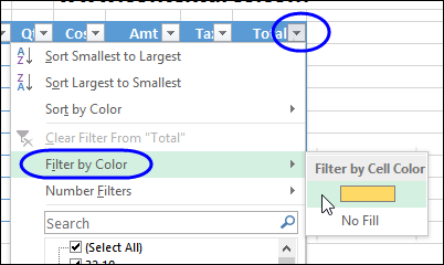 filter by conditional format color